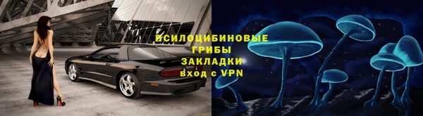 эйфоретик Аркадак