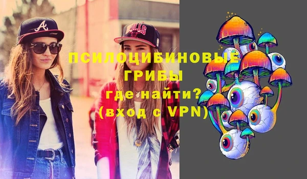 эйфоретик Аркадак